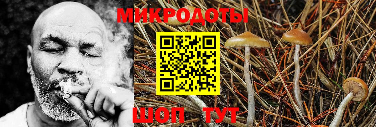 Ачинск  Псилоцибиновые грибы Psilocybine cubensis  Вход с VPN 